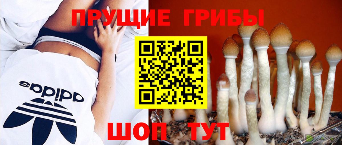 Серов  Псилоцибиновые грибы Psilocybine cubensis  Псилоцибиновые грибы Magic Shrooms  Вход с VPN 
